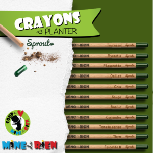 crayons à planter